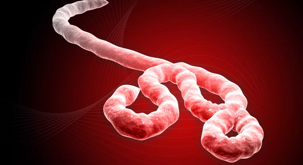 الإيبولا : اعراض هذا الفيروس، علاجه ،الوقاية منه وكيفية الاصابة به