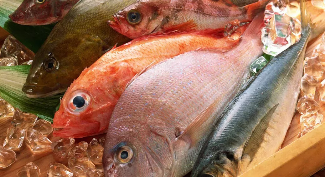 فوائد السمك – أهم 14 فائدة صحية للسمك