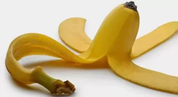 فوائد قشر الموز المذهلة ، فلا ترميه بعد اليوم