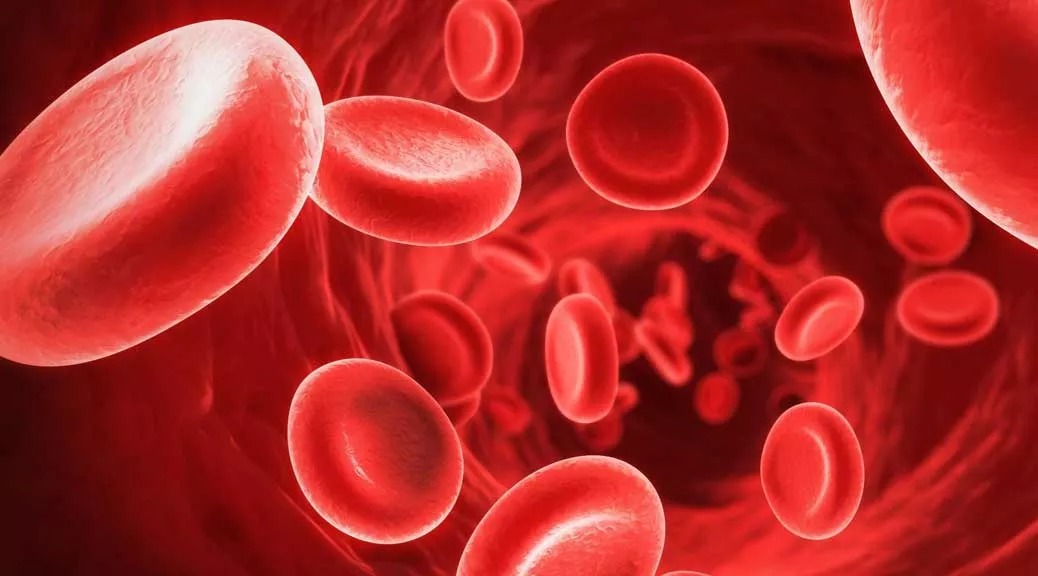 فقر الدم  أو الأنيميا : أسبابه، أعراضه، وافضل الأغذية لعلاجه