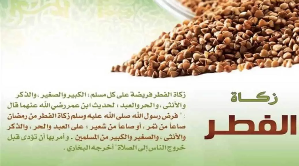 زكاة الفطر: ما الحكمة من حكمها ووجوبها؟ الجدران العربية