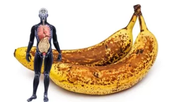 أهمية الموز الغذائية – ما يحصل لجسمك اذا تناولت موزتين كل يوم لمدة شهر؟