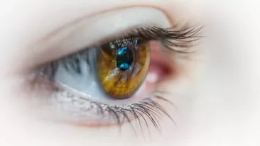 الحزام الناري في العين : ما يجب معرفته وكيف تتجنب الضرر الدائم للعين؟