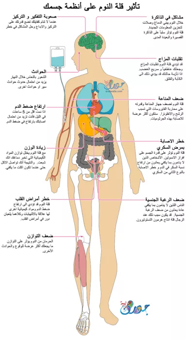 تأثير قلة النوم على أنظمة الجسم 2 تأثير قلة النوم على أنظمة الجسم
