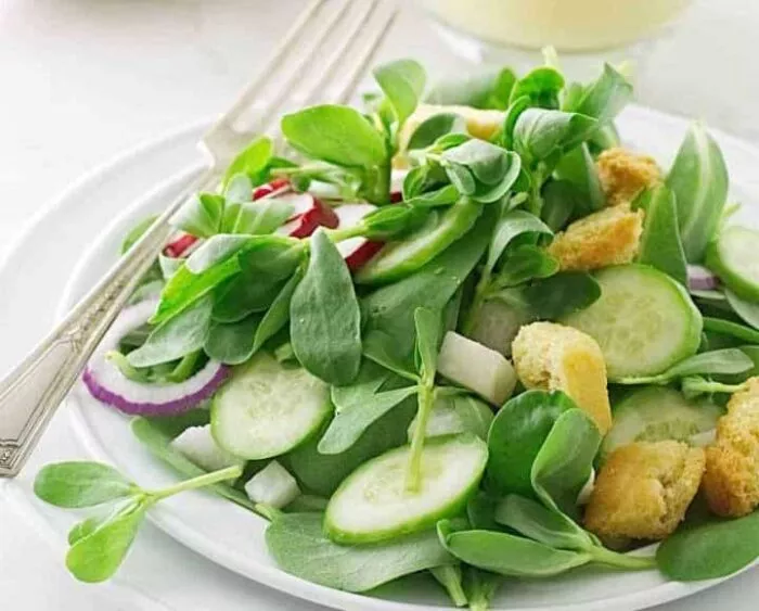 عشبة الرجلة أو البقلة: عشب لذيذ ومليء بالمغذيات، تعرف على فوائدها 2 سلطة الفرفحين او البقلة الخضراء