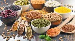 البقوليات البقوليات