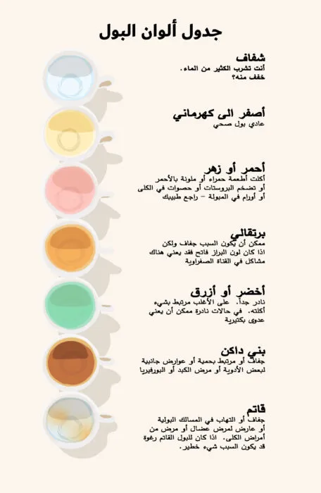 شرح و أسباب ألوان البول 2 جدول ألوان البول