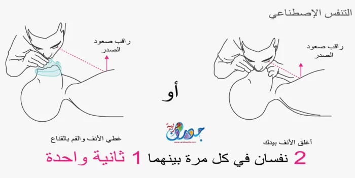 الإنعاش القلبي الرئوي (CPR) 4 التنفس الاصطناعي