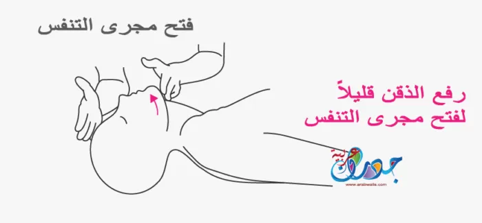 الإنعاش القلبي الرئوي (CPR) 3 فتح مجرى الهواء