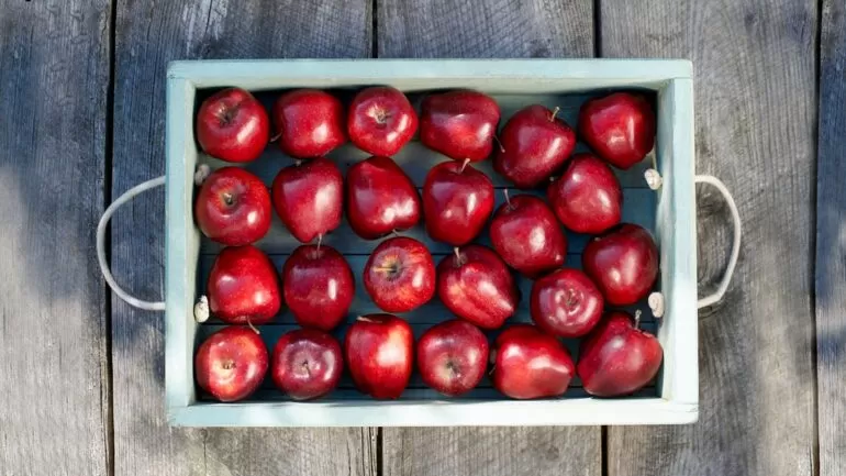 هل يمكنني علاج ندبات حب الشباب بخل التفاح؟