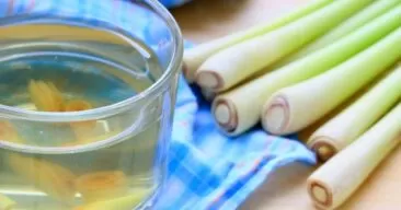 الليمونية أو الإذخر – أكثر من 10 فوائد لشرب شاي الليمونية