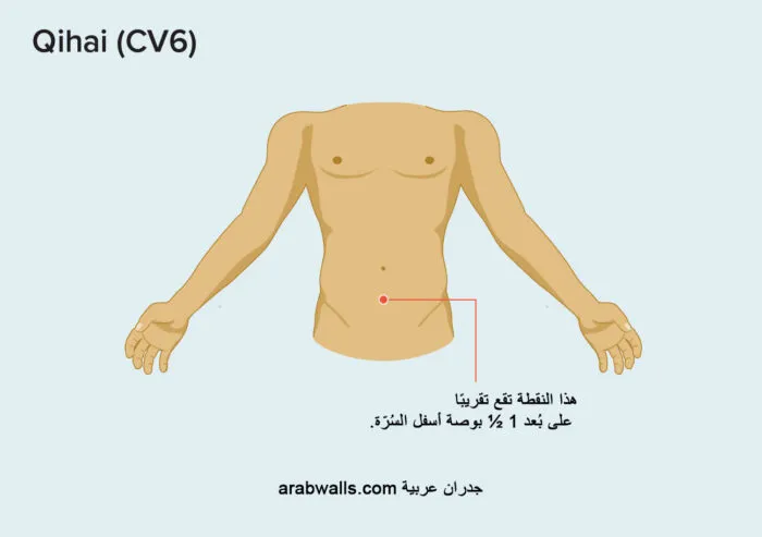 نقاط العلاج بالضغط لآلام المعدة والغازات والانتفاخ 4 تشيهاي (CV6)