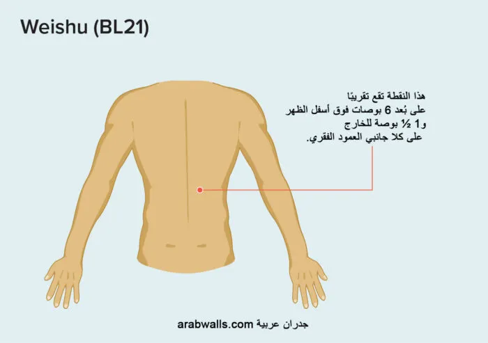 نقاط العلاج بالضغط لآلام المعدة والغازات والانتفاخ 6 ويشو (BL21)