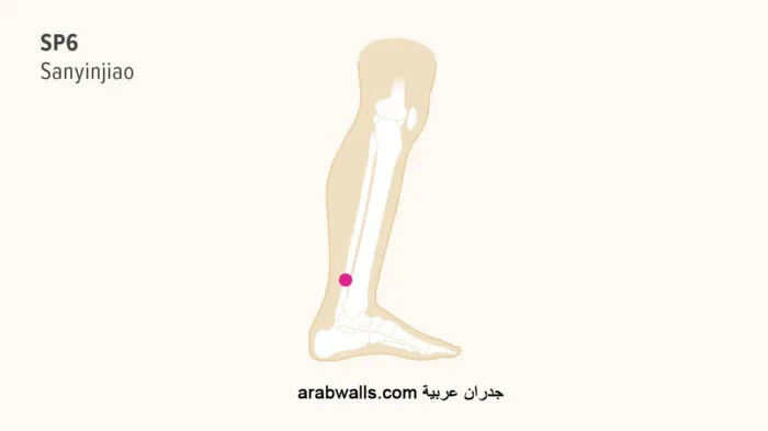 نقاط العلاج بالضغط لآلام المعدة والغازات والانتفاخ 3 سانيينجياو (SP6)